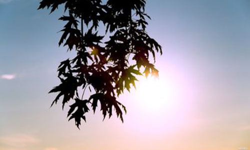 銳博幻影PPT設計公司員工感悟